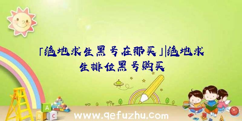 「绝地求生黑号在那买」|绝地求生排位黑号购买